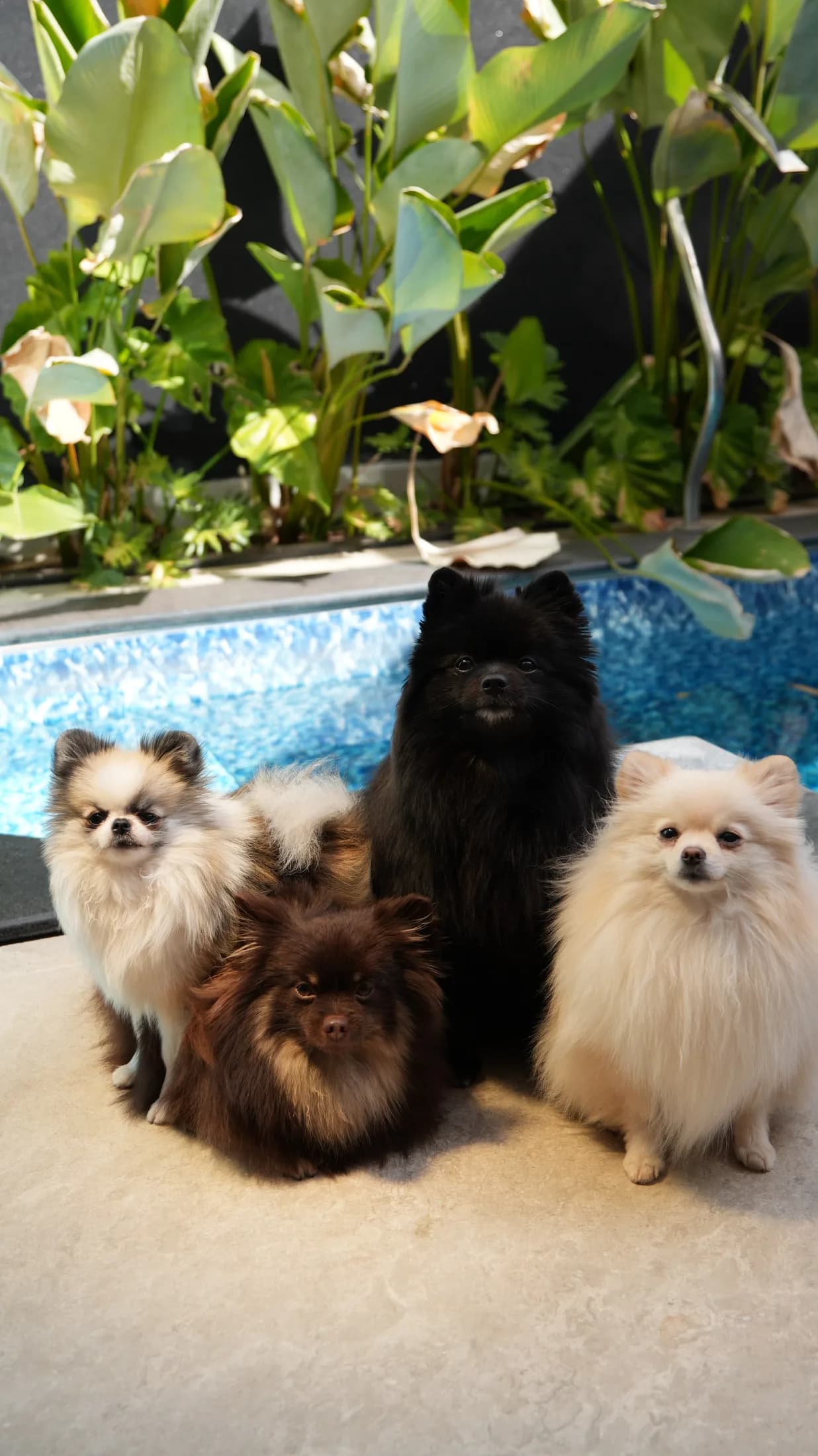 Kira, Cora e a turma reunidas em casa