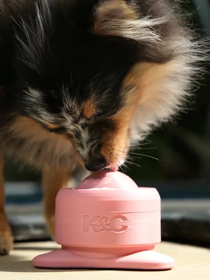 Um cão usando o lambedor Lume na rotina de casa